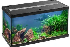EHEIM Aquastar 54 LED Schwarz - Aquarienset