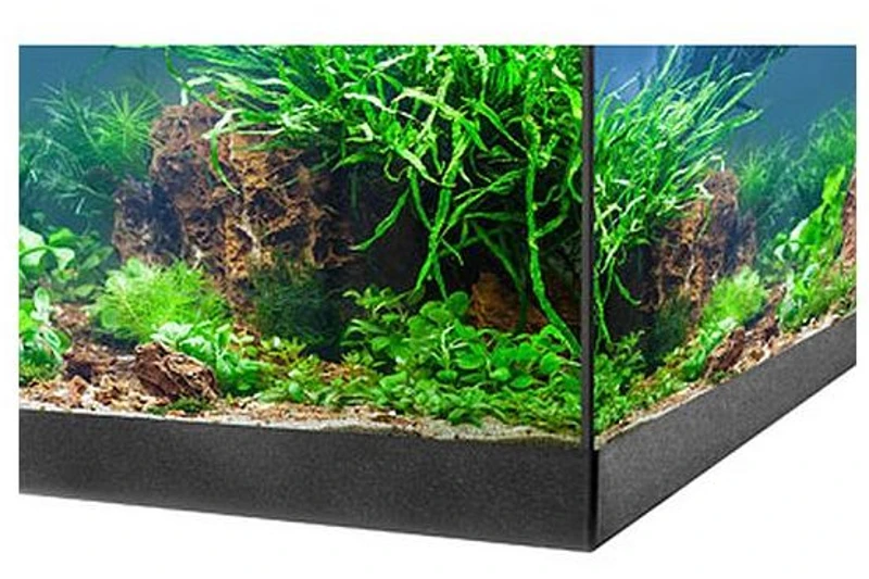 EHEIM Aquastar 54 LED Schwarz - Aquarienset 2 EHEIM Aquastar 54 LED Schwarz - Aquarienset – Bild 2