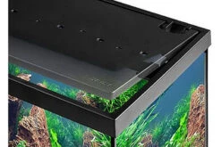 EHEIM Aquastar 54 LED Schwarz - Aquarienset 7 EHEIM Aquastar 54 LED Schwarz - Aquarienset -EHEIM || sera || AQUATLANTIS Verkaufsgeschäft 0340645 EHEIM aquastar 54 LED schwarz 03