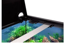 EHEIM Aquastar 54 LED Schwarz - Aquarienset 8 EHEIM Aquastar 54 LED Schwarz - Aquarienset -EHEIM || sera || AQUATLANTIS Verkaufsgeschäft 0340645 EHEIM aquastar 54 LED schwarz 04