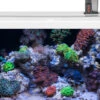 EHEIM Aquastar 63 Marine Weiß - Aquarienset