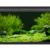 EHEIM AquaproLED 180 Schwarz - Aquarienset