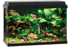 Juwel Primo 70 Schwarz Aquarium-Set 6 Juwel Primo 70 Schwarz Aquarium-Set -EHEIM || sera || AQUATLANTIS Verkaufsgeschäft 13j25370 Juwel Primo 70 schwarz 3
