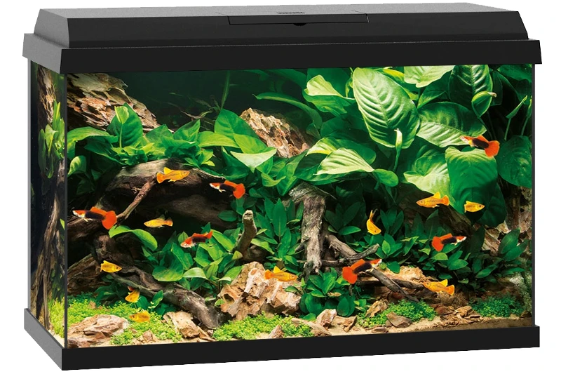 Juwel Primo 70 Schwarz Aquarium-Set 3 Juwel Primo 70 Schwarz Aquarium-Set – Bild 3