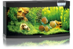 Juwel Vision 260 LED Schwarz Aquarium-Set -EHEIM || sera || AQUATLANTIS Verkaufsgeschäft 13j6350 JUWEL Vision 260 LED schwarz Aquarium 2