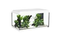 Aquatlantis Aquarienset Advance 60 LED, Weiß