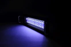 Dennerle Trocal LED Marinus 30 Cm / 16 Watt 7 Dennerle Trocal LED Marinus 30 Cm / 16 Watt -EHEIM || sera || AQUATLANTIS Verkaufsgeschäft 5570 5571 PA Trocal LED Marinus angeschaltet