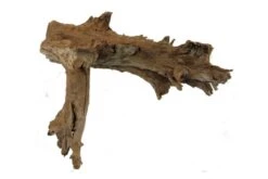 Hobby Mangrovenholz XL