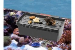 EHEIM Multibox 7 EHEIM Multibox -EHEIM || sera || AQUATLANTIS Verkaufsgeschäft 82740 EHEIM Multibox 2