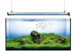 EHEIM PowerLED+ Fresh Plants, 48,7 Cm, 14,8 W, LED Stripe Inkl. Reflektor 9 EHEIM PowerLED+ Fresh Plants, 48,7 Cm, 14,8 W, LED Stripe Inkl. Reflektor -EHEIM || sera || AQUATLANTIS Verkaufsgeschäft 82792 Eheim 4200020 Seilaufhaengung sw 9