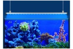 EHEIM PowerLED+ Marine Hybrid, 134,9 Cm, 44,3 W, LED Stripe Inkl. Reflektor -EHEIM || sera || AQUATLANTIS Verkaufsgeschäft 82807 Eheim 4200020 Seilaufhaengung mw 4