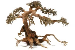 Aquadeco Aqua-Bonsai M, 23-30 Cm -EHEIM || sera || AQUATLANTIS Verkaufsgeschäft Aquadeco Aqua Bonsai 3