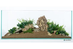 Aquadeco Drachenstein Dekoset Für 60 Cm Aquarium -EHEIM || sera || AQUATLANTIS Verkaufsgeschäft Aquadeco Drachenstein Dekoset 3 3