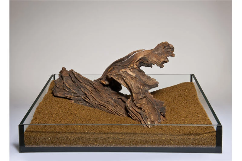 Aquadeco Flusswurzel Set, Sortiert, 15 KG 3 Aquadeco Flusswurzel Set, Sortiert, 15 KG – Bild 3