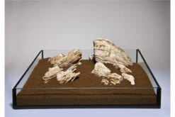 Aquadeco Helle Pagode Dekoset Für 80 Cm Aquarium 11 Aquadeco Helle Pagode Dekoset Für 80 Cm Aquarium -EHEIM || sera || AQUATLANTIS Verkaufsgeschäft Aquadeco Helle Pagode 1 3