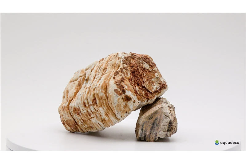 Aquadeco Helle Pagode Dekoset Für 120 Cm Aquarium 2 Aquadeco Helle Pagode Dekoset Für 120 Cm Aquarium – Bild 2