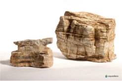 Aquadeco Helle Pagode Dekoset Für 120 Cm Aquarium 9 Aquadeco Helle Pagode Dekoset Für 120 Cm Aquarium -EHEIM || sera || AQUATLANTIS Verkaufsgeschäft Aquadeco Helle Pagode 4 1