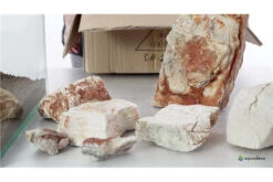 Aquadeco Helle Pagode Dekoset Für 60 Cm Aquarium