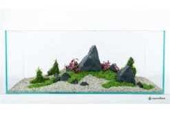 Aquadeco Schwarzer Felsen Dekoset Für 100 Cm Aquarium 6 Aquadeco Schwarzer Felsen Dekoset Für 100 Cm Aquarium -EHEIM || sera || AQUATLANTIS Verkaufsgeschäft Aquadeco Schwarzer Felsen Dekoset 2 1