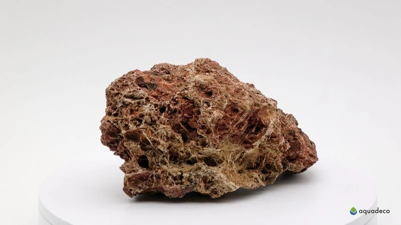 Aquadeco Versteinertes Laub Dekoset Für 100 Cm Aquarium 4 Aquadeco Versteinertes Laub Dekoset Für 100 Cm Aquarium – Bild 4