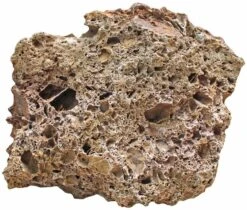 Aquadeco Versteinertes Laub Dekoset Für 80 Cm Aquarium 7 Aquadeco Versteinertes Laub Dekoset Für 80 Cm Aquarium -EHEIM || sera || AQUATLANTIS Verkaufsgeschäft Aquadeco Versteinertes Laub 3