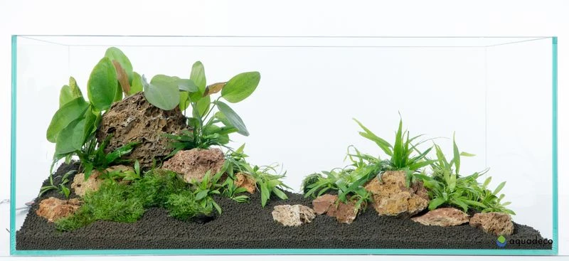 Aquadeco Versteinertes Laub Dekoset Für 80 Cm Aquarium 5 Aquadeco Versteinertes Laub Dekoset Für 80 Cm Aquarium – Bild 5