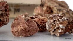 Aquadeco Versteinertes Laub Dekoset Für 100 Cm Aquarium