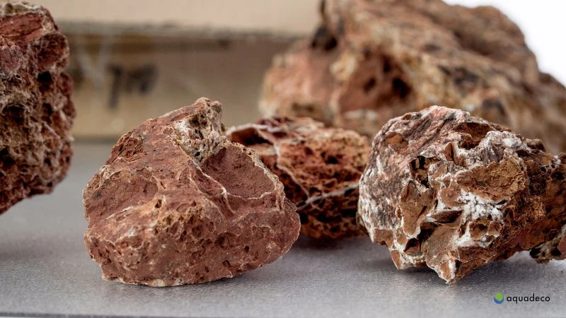 Aquadeco Versteinertes Laub Dekoset Für 100 Cm Aquarium 1 Aquadeco Versteinertes Laub Dekoset Für 100 Cm Aquarium