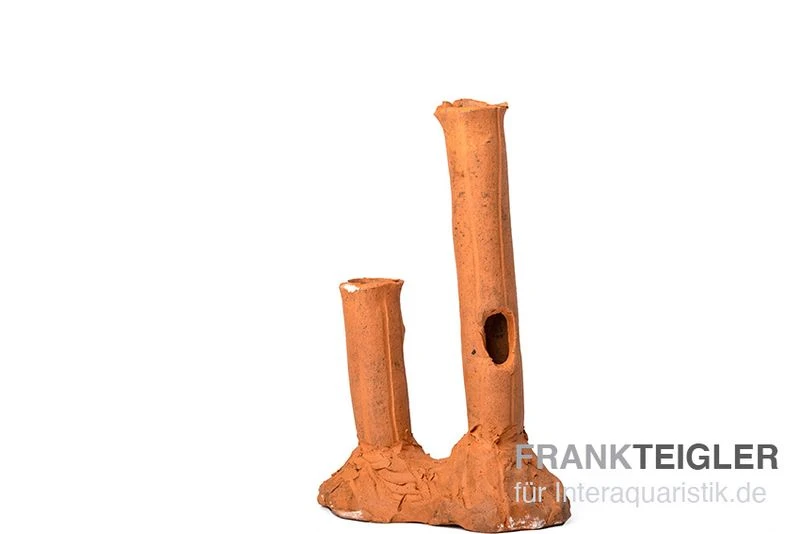 Aquariumkeramik Garnelenstamm Doppelt Terrakotta 1 Aquariumkeramik Garnelenstamm Doppelt Terrakotta
