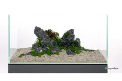Aquadeco Mini-Landschaft BLACK Dekoset Für 60 Cm Aquarium -EHEIM || sera || AQUATLANTIS Verkaufsgeschäft Dekoset Minilandschaft Dark 2 3
