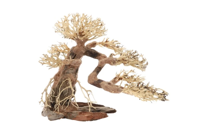 Dupla Bonsai L, Handgemachte Aquariendeko 2 Dupla Bonsai L, Handgemachte Aquariendeko – Bild 2