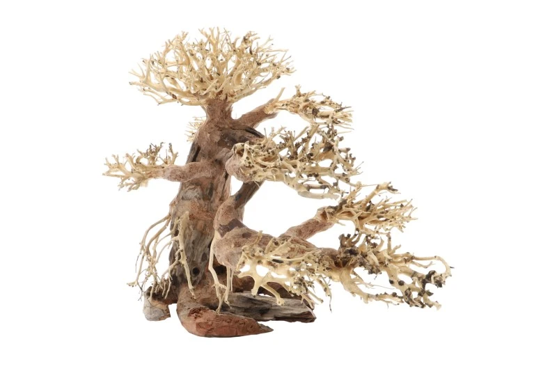 Dupla Bonsai L, Handgemachte Aquariendeko 1 Dupla Bonsai L, Handgemachte Aquariendeko