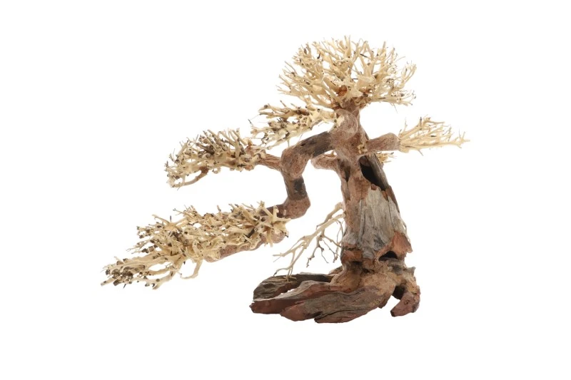 Dupla Bonsai L, Handgemachte Aquariendeko 3 Dupla Bonsai L, Handgemachte Aquariendeko – Bild 3