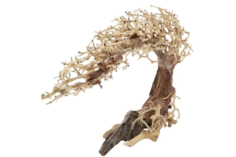 Dupla Crooked Root L, Handgemachte Aquariendeko 2 Dupla Crooked Root L, Handgemachte Aquariendeko – Bild 2