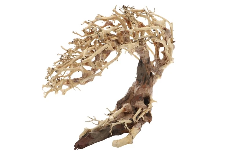 Dupla Crooked Root M, Handgemachte Aquariendeko 2 Dupla Crooked Root M, Handgemachte Aquariendeko – Bild 2