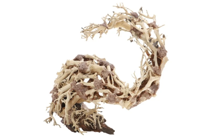Dupla Wizard Root M, Handgemachte Aquariendeko 1 Dupla Wizard Root M, Handgemachte Aquariendeko