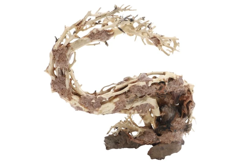 Dupla Wizard Root M, Handgemachte Aquariendeko 2 Dupla Wizard Root M, Handgemachte Aquariendeko – Bild 2