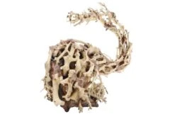 Dupla Wizard Root M, Handgemachte Aquariendeko 5 Dupla Wizard Root M, Handgemachte Aquariendeko -EHEIM || sera || AQUATLANTIS Verkaufsgeschäft Dupla Wizard Root M 3