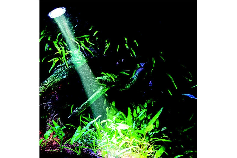 Hobby Bubble Air Spot Daylight 2 Hobby Bubble Air Spot Daylight – Bild 2