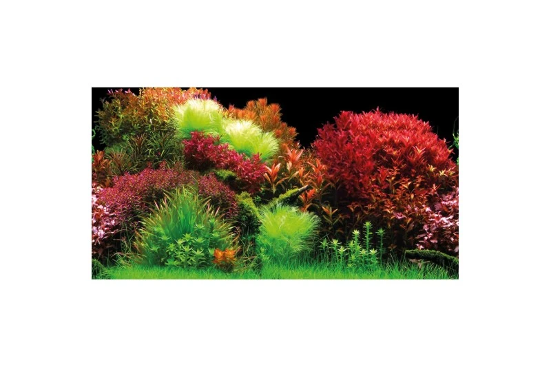 Hobby Rückwandfolie Ocean/Ruby Lake, 100 Cm X 50 Cm, Selbstklebend 2 Hobby Rückwandfolie Ocean/Ruby Lake, 100 Cm X 50 Cm, Selbstklebend – Bild 2