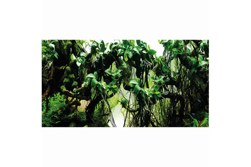 Hobby Fotorückwandzuschnitt Pearl River/Deep Delta, 100 Cm X 50 Cm 2 Hobby Fotorückwandzuschnitt Pearl River/Deep Delta, 100 Cm X 50 Cm – Bild 2