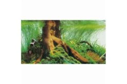 Hobby Fotorückwandzuschnitt Pearl River/Deep Delta, 100 Cm X 50 Cm 5 Hobby Fotorückwandzuschnitt Pearl River/Deep Delta, 100 Cm X 50 Cm -EHEIM || sera || AQUATLANTIS Verkaufsgeschäft Hobby Pearl River Deep Delta Fotorueckwand 3