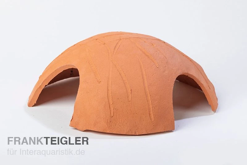 Aquariumkeramik Axolotl Iglu Ø 18 Cm Terra 1 Aquariumkeramik Axolotl Iglu Ø 18 Cm Terra