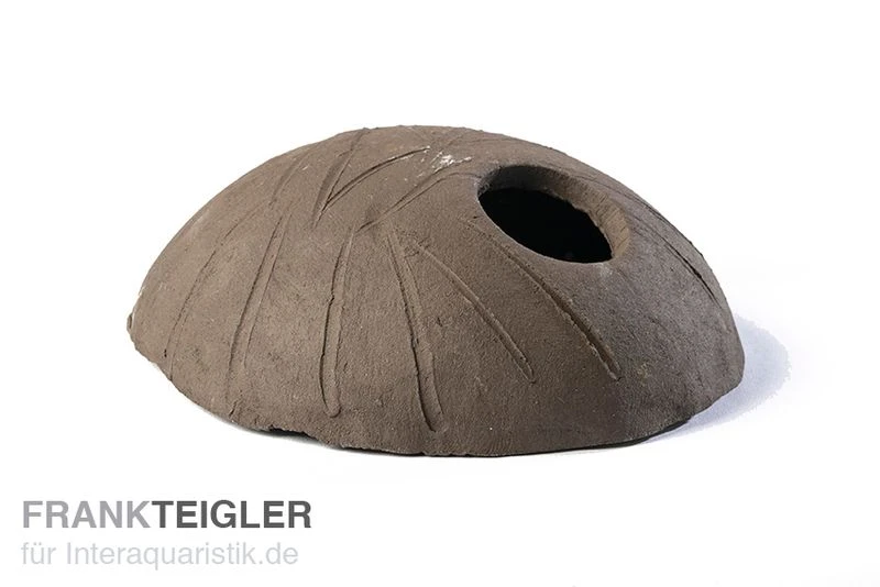 Aquariumkeramik Cichliden Iglu Laichhöhle Schwarz 1 Aquariumkeramik Cichliden Iglu Laichhöhle Schwarz