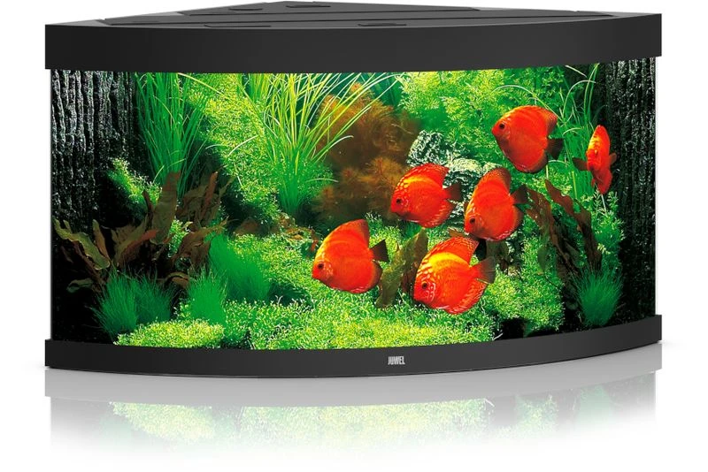Juwel Aquarium Trigon 350 LED, Schwarz 1 Juwel Aquarium Trigon 350 LED, Schwarz