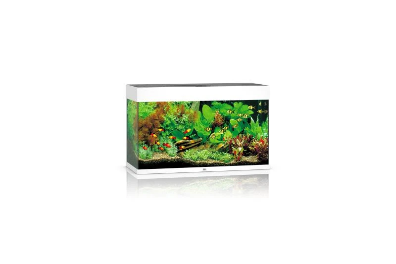 Juwel Rio Aquarium 125 LED, Weiß 1 Juwel Rio Aquarium 125 LED, Weiß