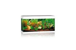 Juwel Rio Aquarium 180 LED, Weiß
