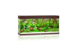Juwel Rio Aquarium 240 LED, Dunkles Holz