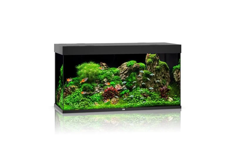 Juwel Aquarium Rio 350 LED, Schwarz 1 Juwel Aquarium Rio 350 LED, Schwarz