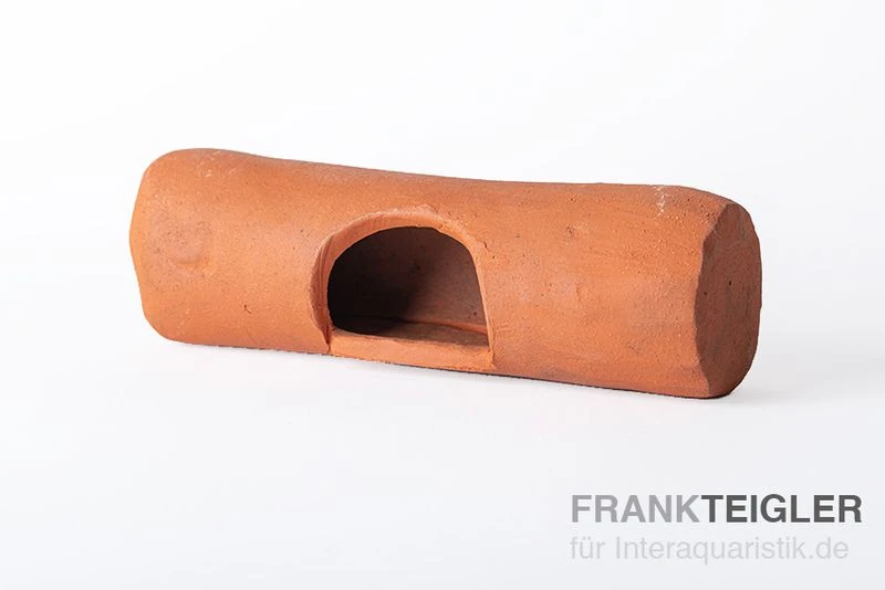 Aquariumkeramik Mitteleingangshöhle Wels Extra 20 Cm Terrakotta 1 Aquariumkeramik Mitteleingangshöhle Wels Extra 20 Cm Terrakotta